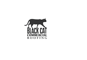 Black Cat Commercial Roofing
